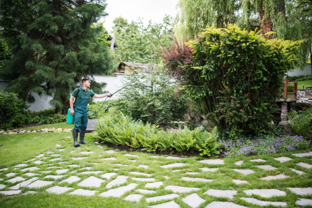 Best Exterminator Services  in Sonora, CA